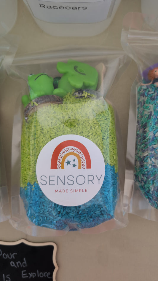 Frogs Pour and Explore Sensory Bag for Toddlers